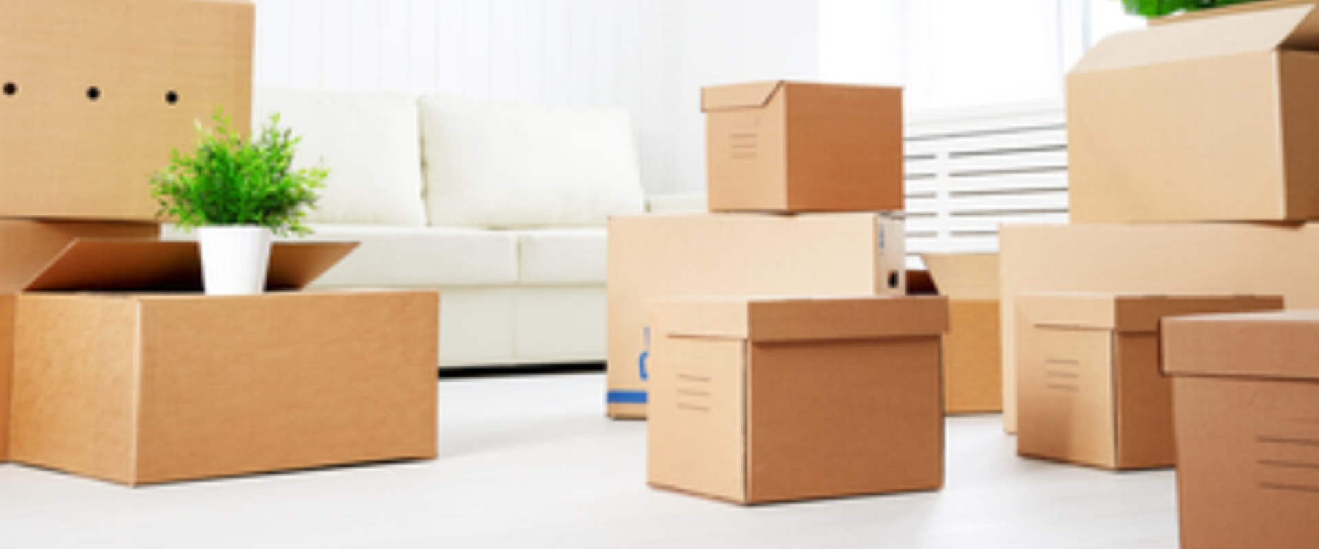 Tips For Choosing A Moving Company